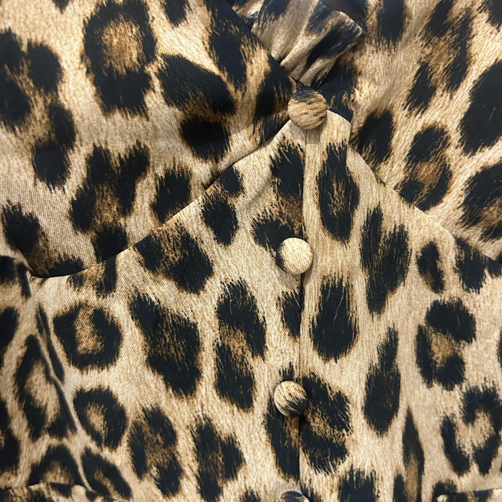 Zara Animal Print Ruffle Blouse
